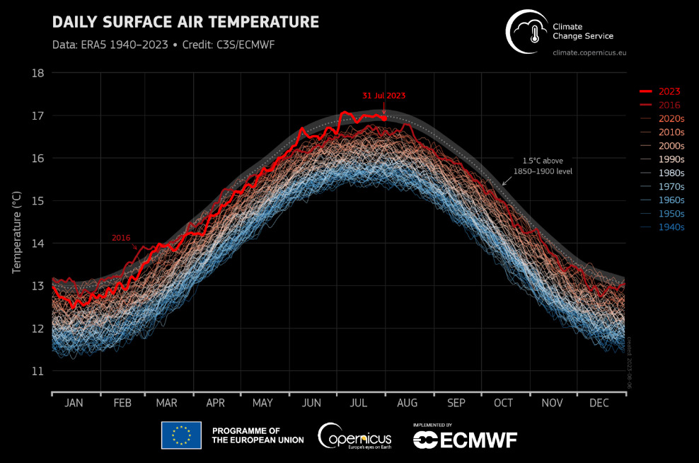 Line graph with temperature on the y axis, months on the y axis, showing daily surface air temperature from 1940 to 2023. 